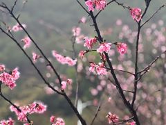 -小南山公园