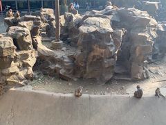 -杭州动物园