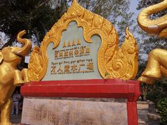 -西双版纳原始森林公园