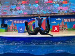 -成都浩海立方海洋公园