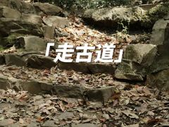 -万达广场(临港店)