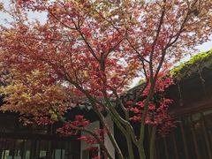 -西山人家·二十年老字号农家菜(旺山店)