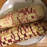 玉米胡萝卜排骨汤