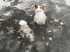 -北京市海淀外国语实验学校