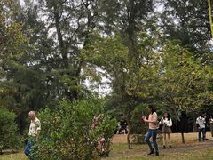 -北海市海滨公园