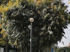 -晓港公园