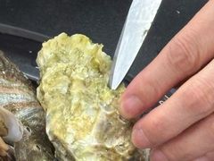 -在海一方公园