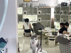 -lincat·猫舍(广州店)