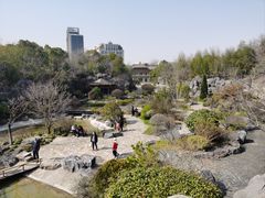 -上海吴淞炮台湾国家湿地公园