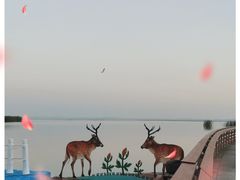 -卧龙湖