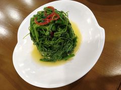 帝王龙须菜-陕西人家