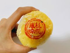 咸桂花-桂香村(护国寺店)