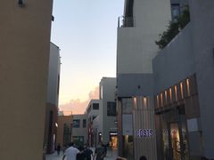 -金鸭季·北京烤鸭(深业上城店)