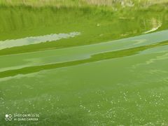 -神农溪纤夫文化旅游区