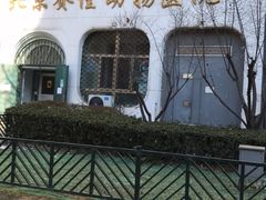 -北京赛佳动物医院