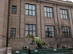 -国家自然博物馆