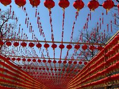 -北京凤凰岭