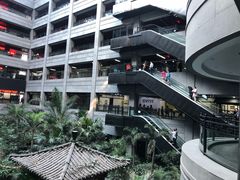 -黑龙江中医药大学附属第一医院