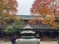 -灵谷景区