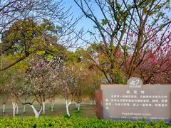 -南山植物园
