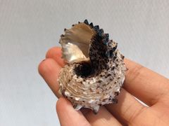 -亚龙湾海底世界