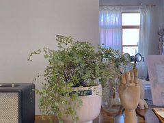 -漫笙舍Manse·咖啡·民宿