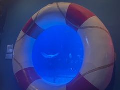 -烟台海昌鲸鲨海洋公园