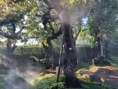 -Chom Cafe and Restaurant