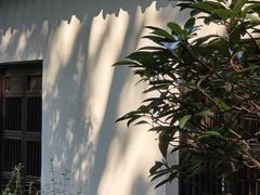 -法云安缦酒店