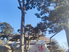-妙峰山风景名胜区
