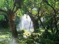 -Chom Cafe and Restaurant