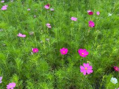 -长春公园(普阳街道)