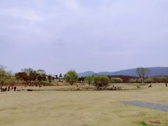 -钟山体育运动公园