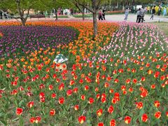 -长春公园(普阳街道)