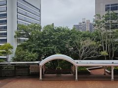 -香港大学