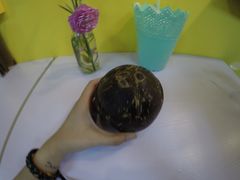 -志龙皇冠吃货椰子铺
