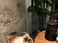 -黑胶星球(华发中城商都店)