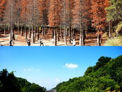 -中国科学院华南植物园