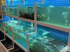 水产区-冶建镜子·老南昌大排档·江西虾王(总店)