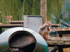 -北京野生动物园