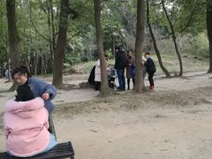 -蜀冈西峰生态公园