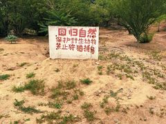 -白水寺森林公园