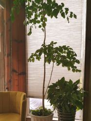 -香秀空间科技抗衰·美容中心