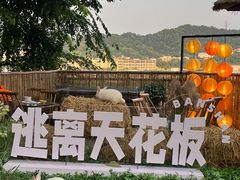 -伴山茶苑·围炉煮茶