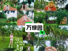 -万绿园