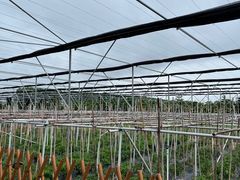 -迪茵湖田家舍生态农场