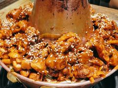 -刘记光大火锅鸡(北行店)