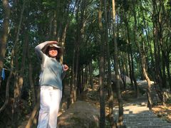 -火炉山森林公园