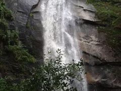 -内乡宝天曼生态旅游区