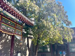 -张学良旧居陈列馆